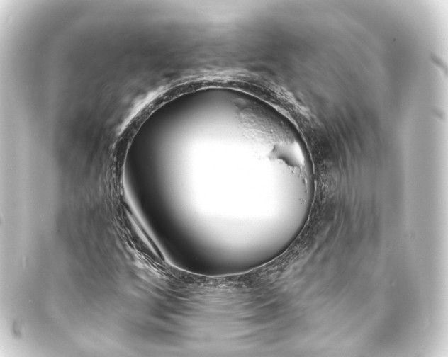 X0000093761256200710301137