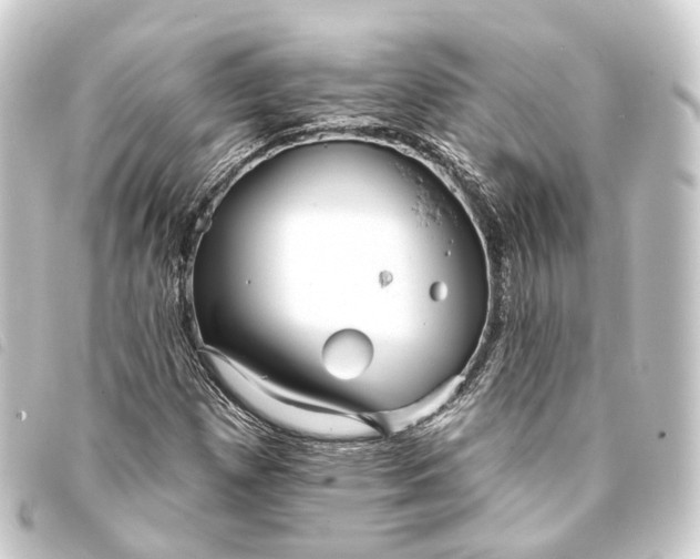 X0000093761257200710301137