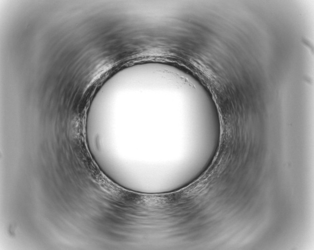 X0000093761258200710301137