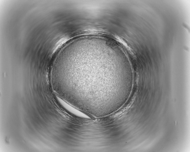 X0000093761259200710301137