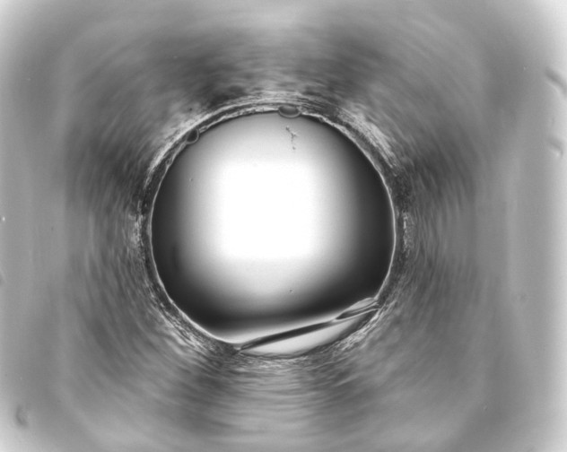 X0000093761260200710301137