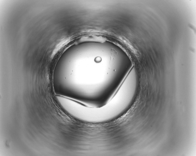 X0000093761261200710301137