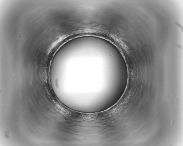 X0000093761262200710301137