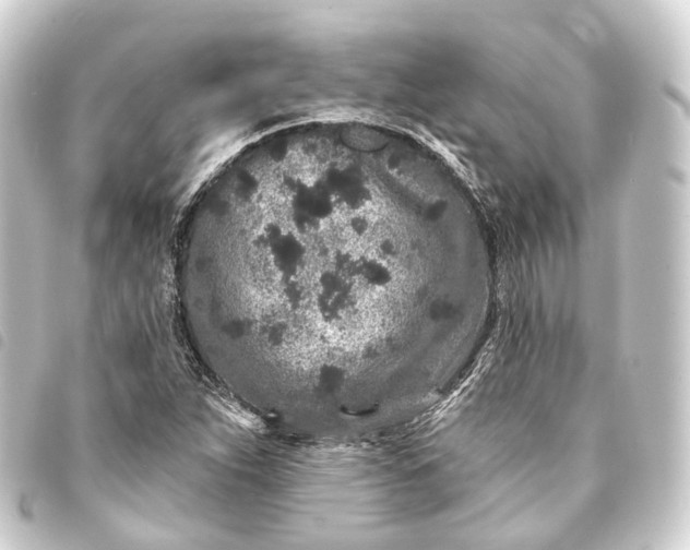 X0000093761263200710301137