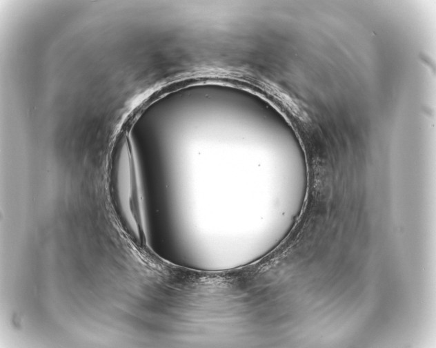 X0000093761264200710301137