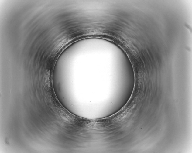 X0000093761265200710301137