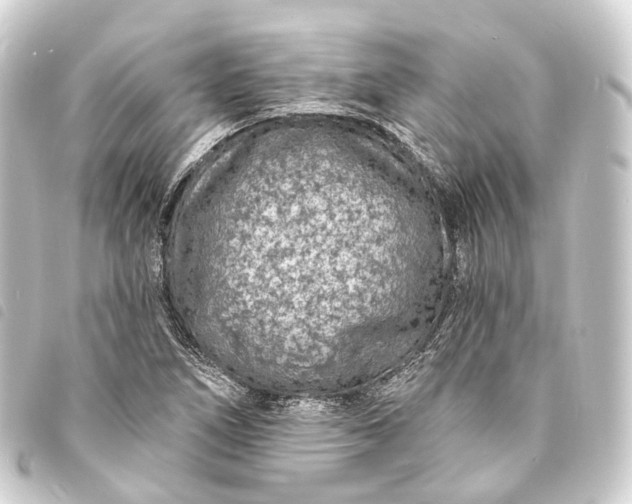 X0000093761266200710301137