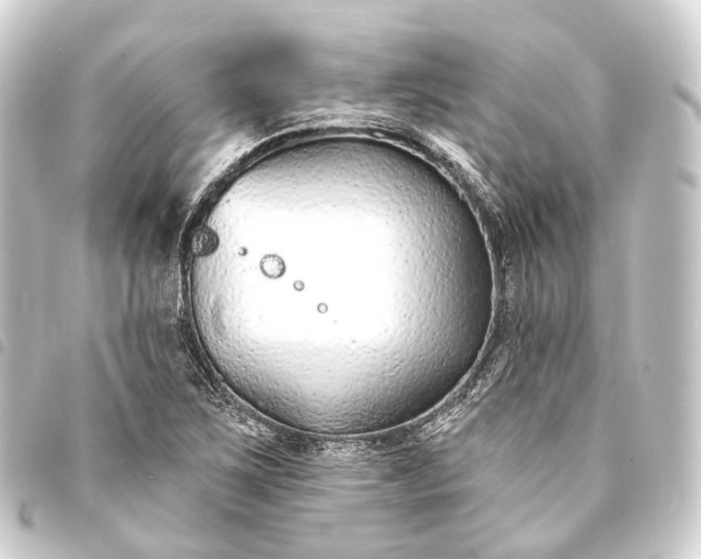 X0000093761267200710301137