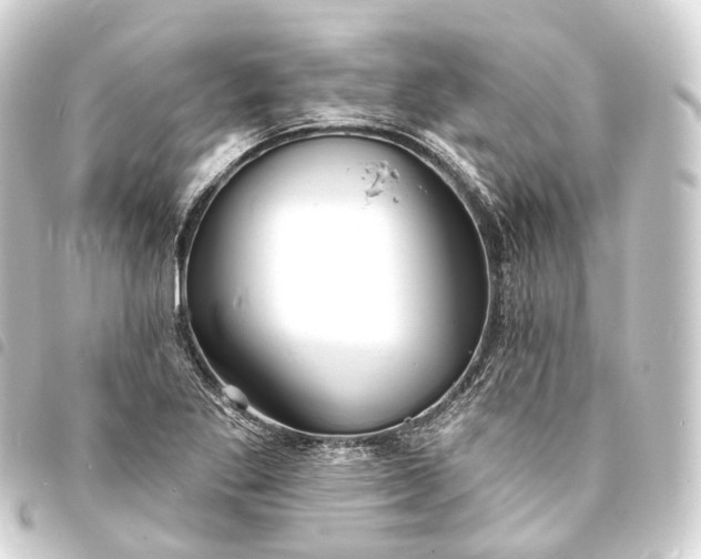 X0000093761269200710301137