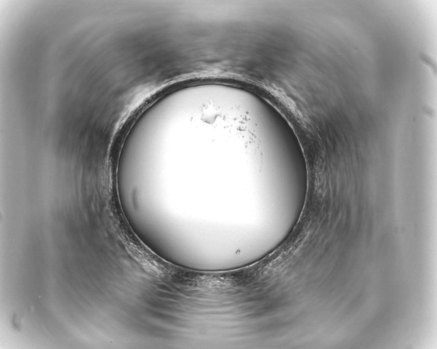 X0000093761270200710301137