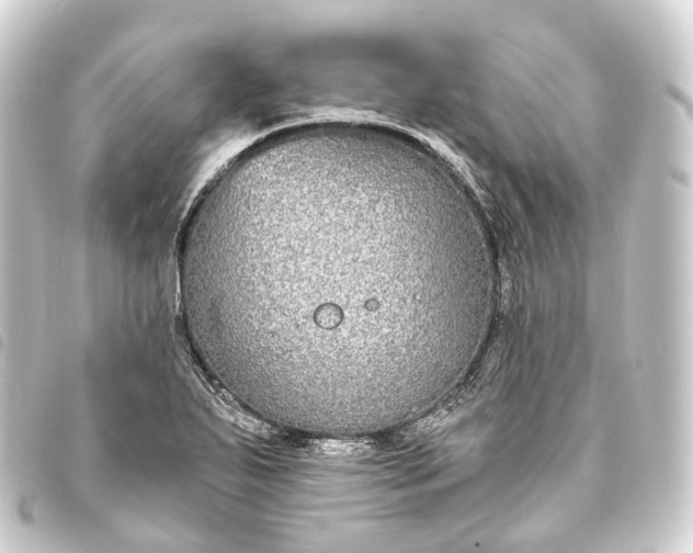 X0000093761271200710301137