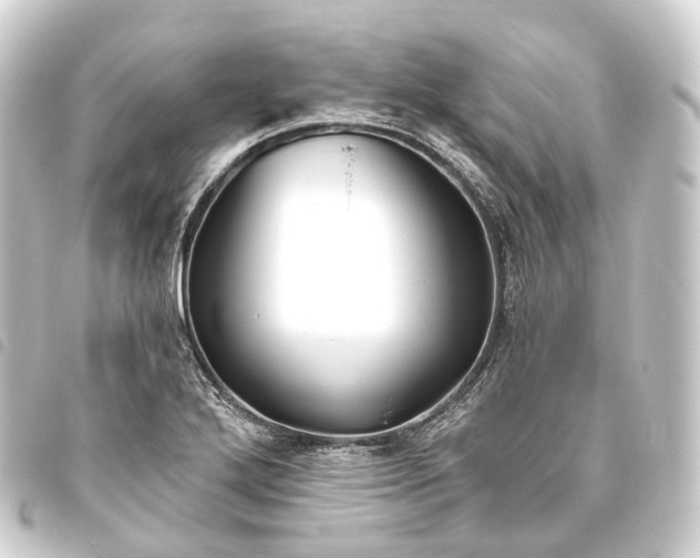 X0000093761272200710301137