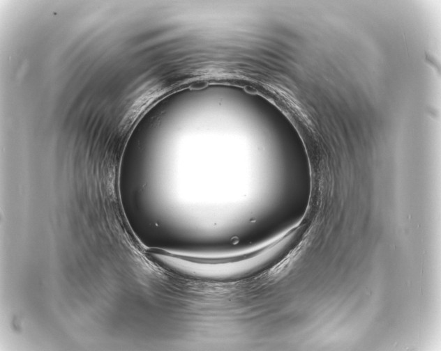 X0000093761273200710301137