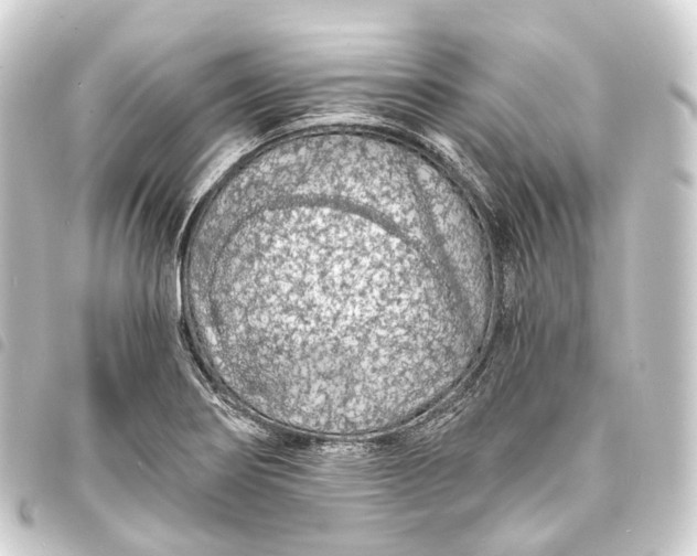 X0000093761274200710301137