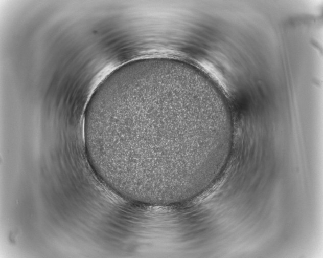 X0000093761275200710301137