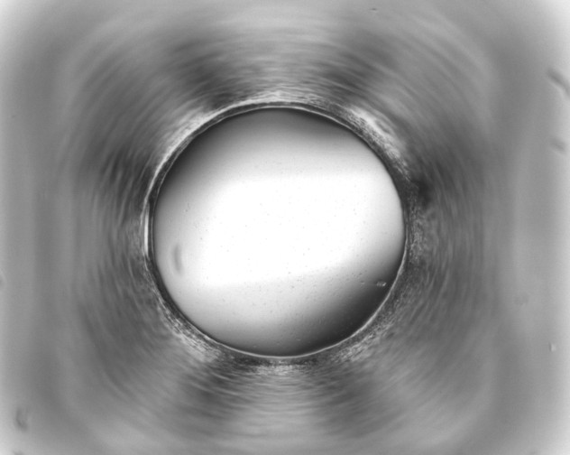 X0000093761276200710301137