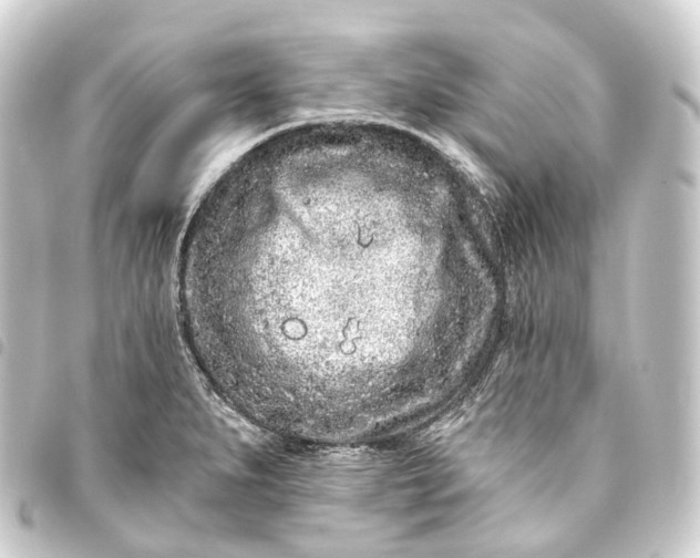 X0000093761279200710301137