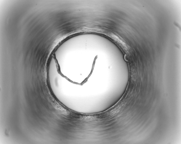 X0000093761280200710301137