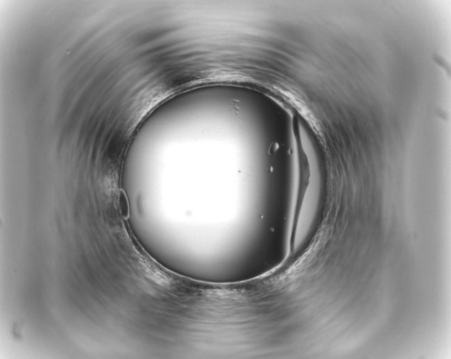 X0000093761281200710301137