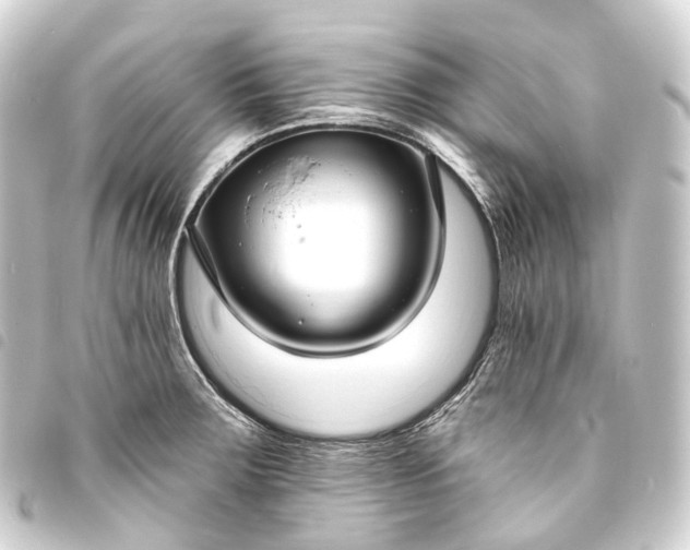 X0000093761283200710301137