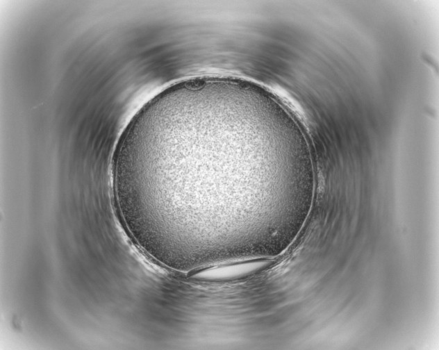 X0000093761287200710301137