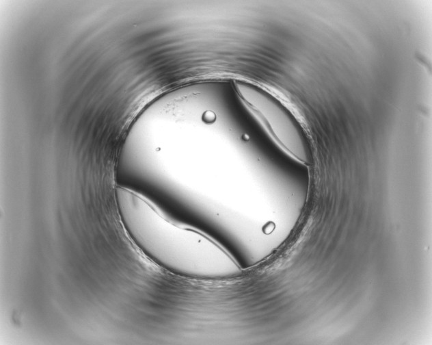 X0000093761289200710301137