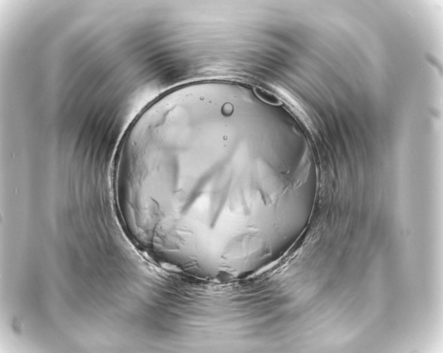 X0000093761291200710301137