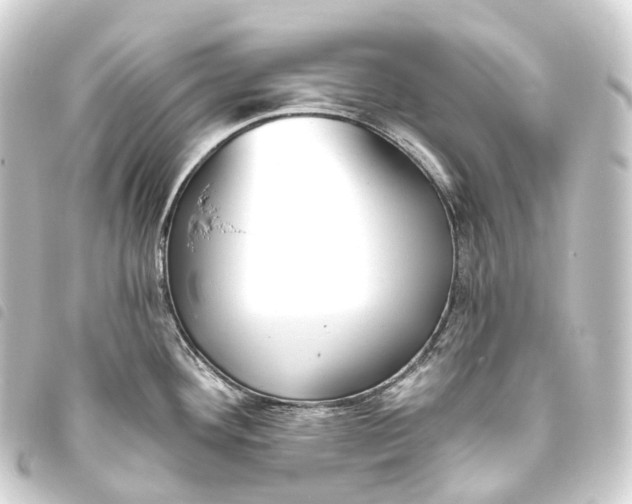 X0000093761292200710301137