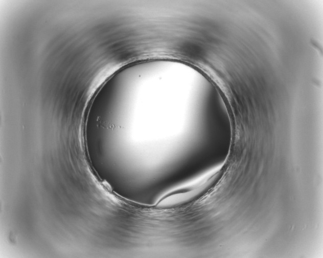 X0000093761293200710301137