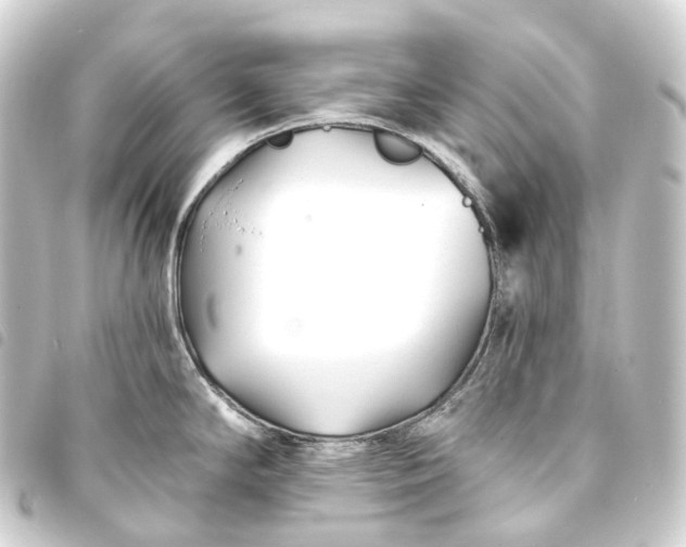 X0000093761294200710301137