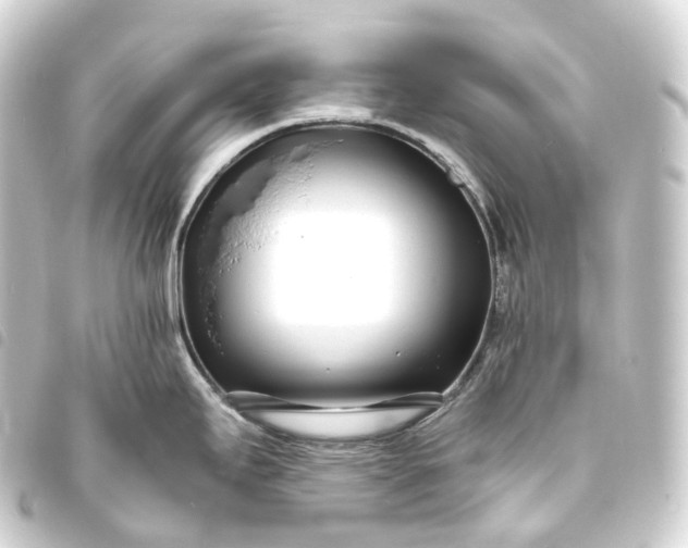 X0000093761295200710301137