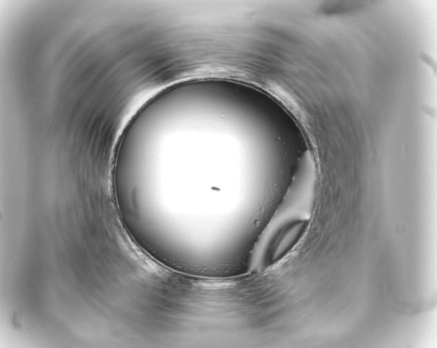 X0000093761296200710301137