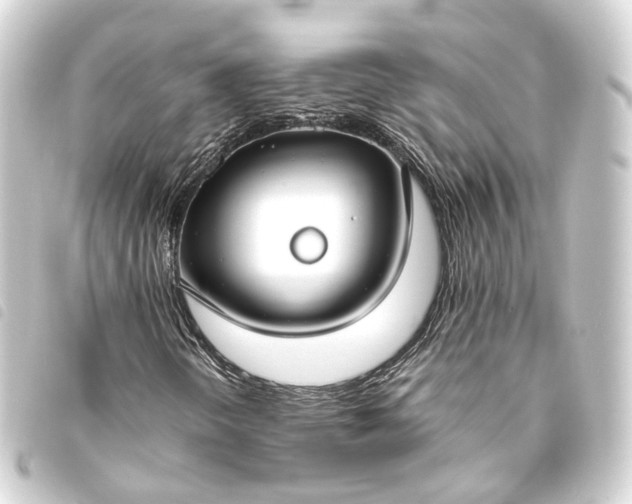 X0000093761298200710301136