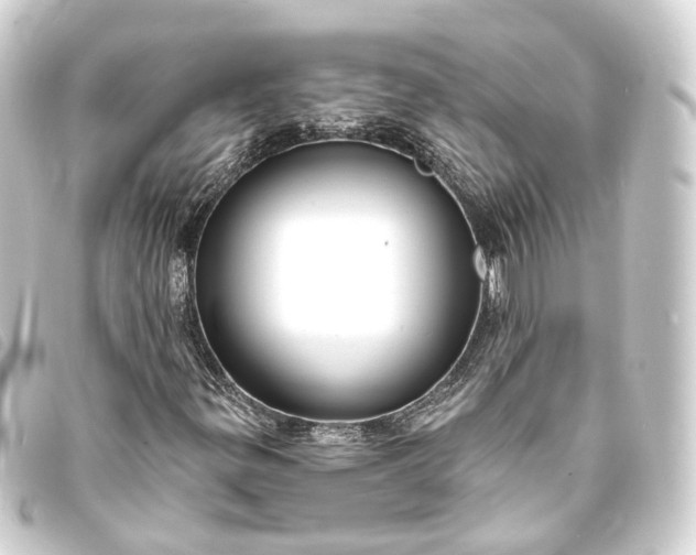 X0000093761299200710301136