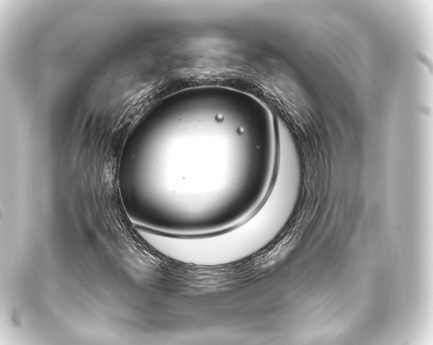 X0000093761300200710301136