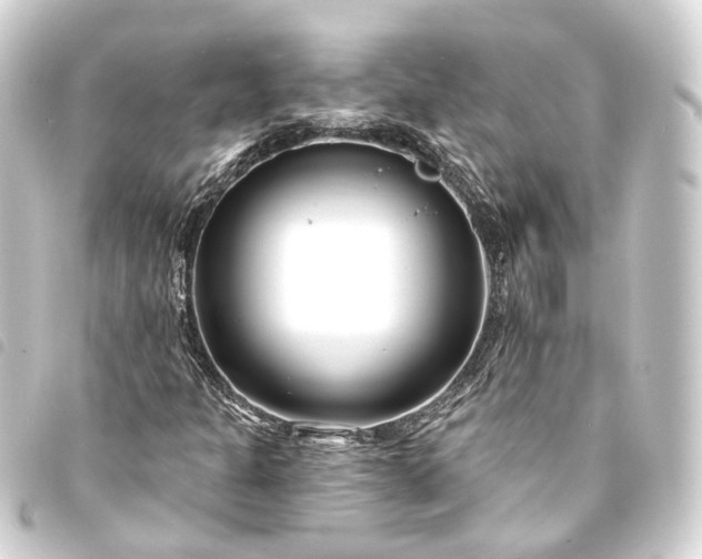 X0000093761301200710301136