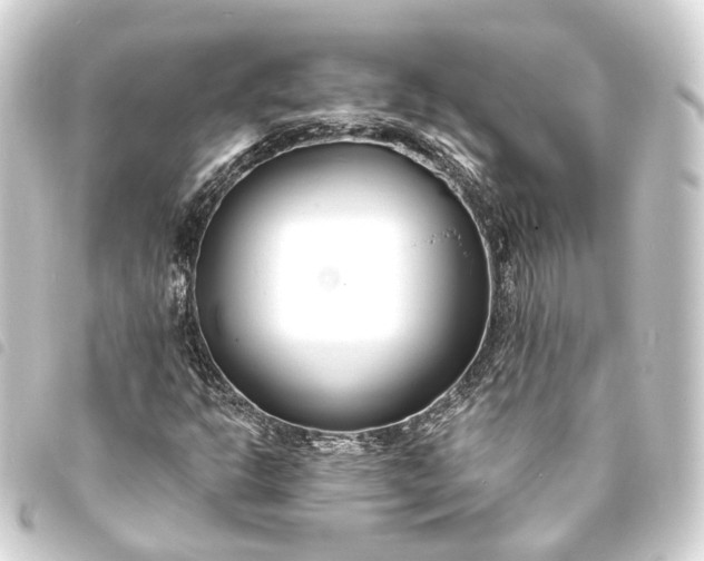 X0000093761302200710301136