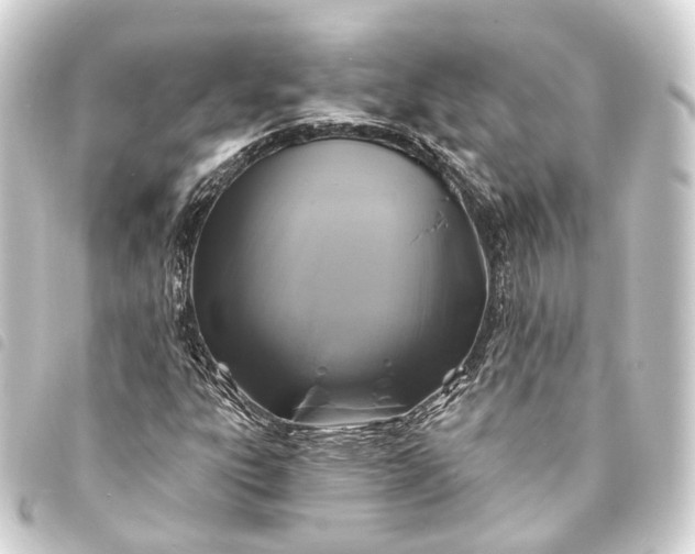 X0000093761303200710301136