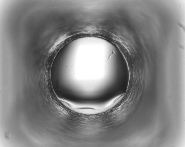 X0000093761304200710301136