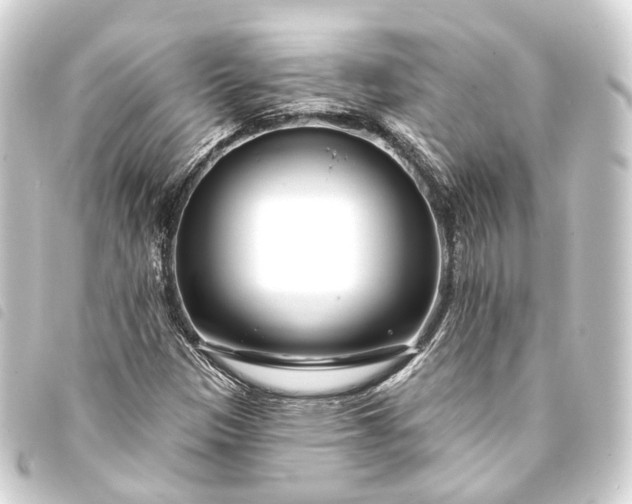 X0000093761305200710301136