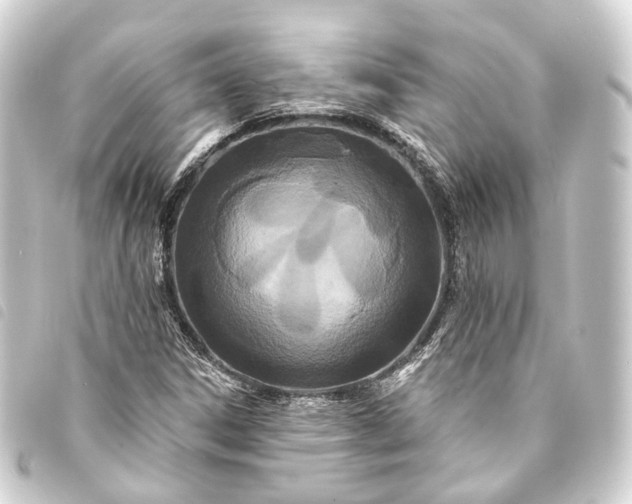 X0000093761306200710301136