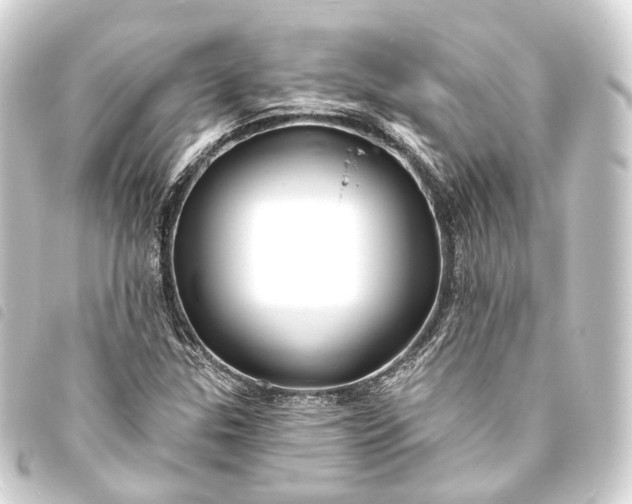 X0000093761307200710301136