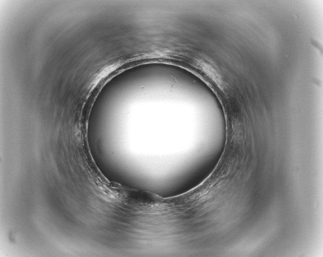 X0000093761308200710301136