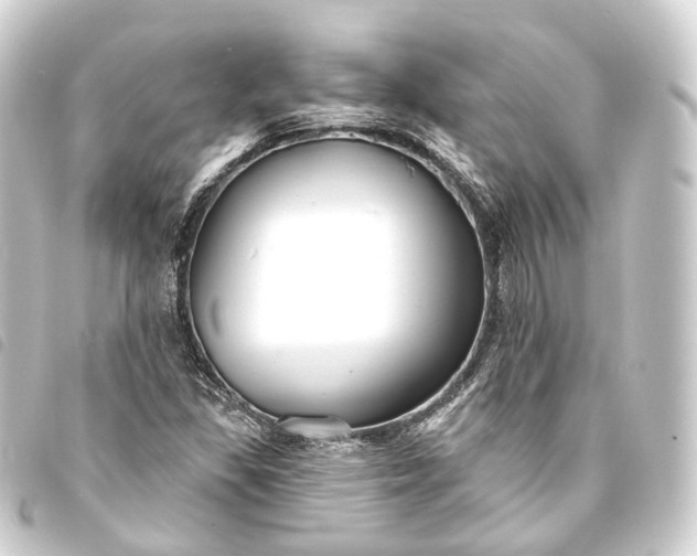 X0000093761309200710301136