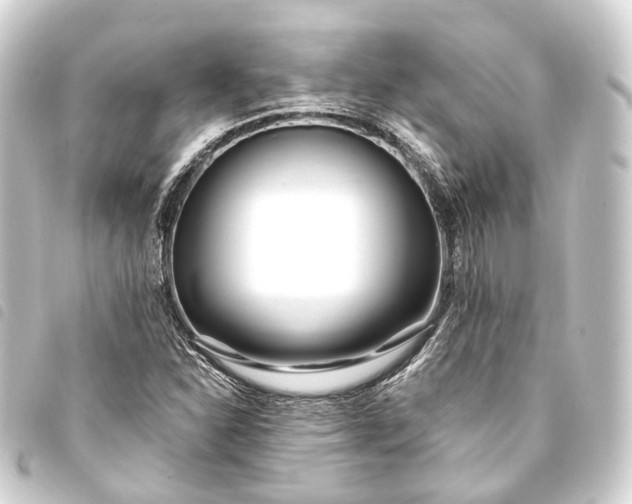 X0000093761310200710301136