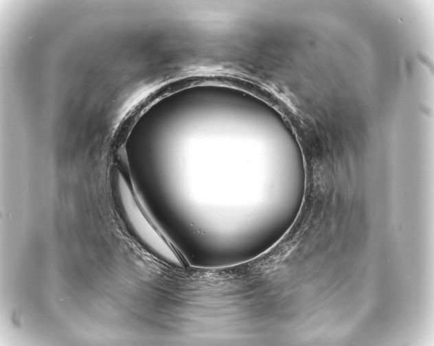 X0000093761311200710301136