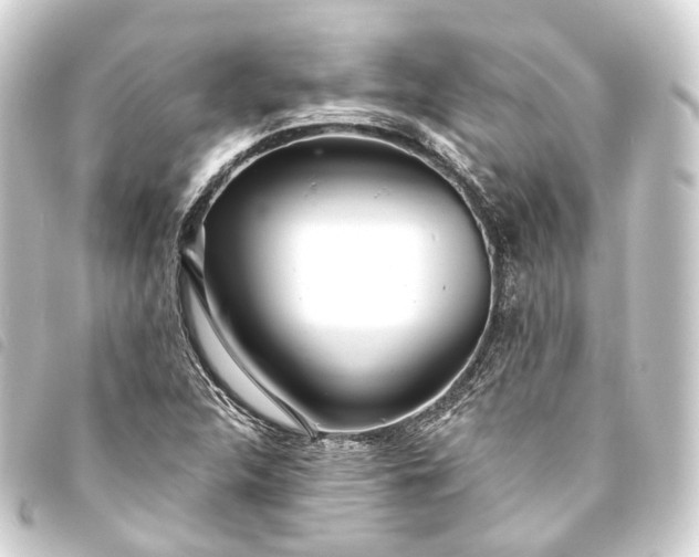 X0000093761312200710301136