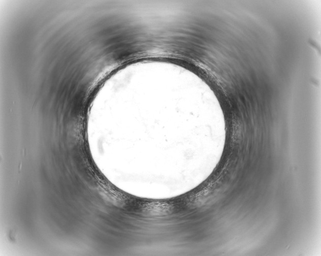 X0000093761314200710301136