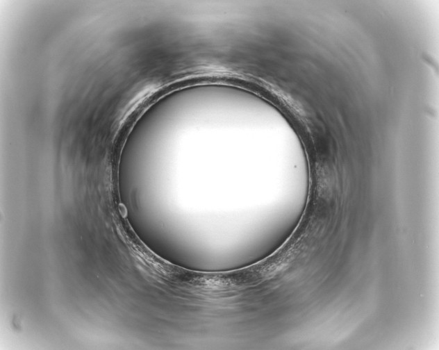 X0000093761318200710301136