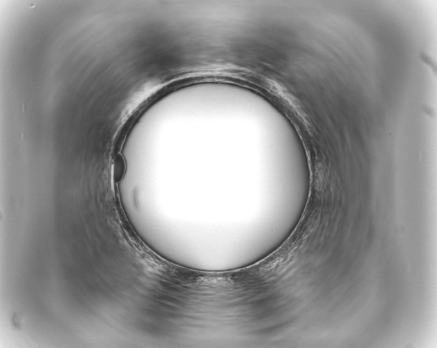 X0000093761320200710301136